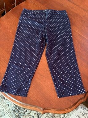 LOFT Navy Polka Dot Capri Pants